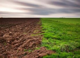 Bakıda torpaq qiymətləri 2025-ci ilin iyulunda artdı – Səbail rayonunda 29% bahalaşma