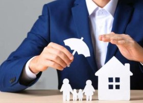 2025-ci ilin yanvar–iyul aylarında sığorta şirkətlərinin yığımlarının həcminə görə renkinqi