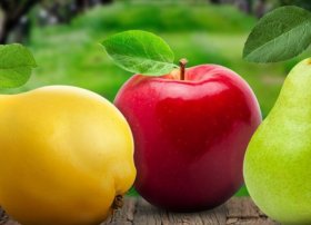 Azərbaycandan xarici bazarlara alma, armud və heyva ixracı 53,6% artıb