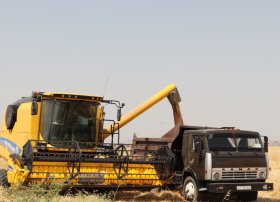 Naxçıvanda fermerlərə taxıl əkinləri üçün 3,7 milyon manatdan çox subsidiya verilib