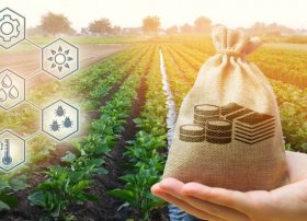 Fermerlər üçün dövlət dəstəyi proqramları genişləndirilib