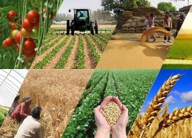 Regionlarda perspektivli biznes ideyaları və ilkin investisiya imkanları - CƏDVƏL