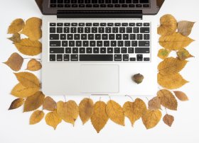 Bizneslər üçün payız marketinq strategiyaları