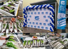 Əhali üçün balıq məhsulları bazar qiymətindən 25–30% ucuz təklif olunur