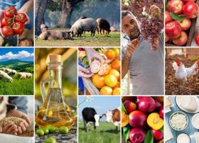 Bu ilin payızında dünya üzrə kənd təsərrüfatı məhsullarının qiymətləri