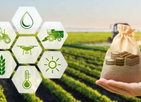 Əkinçilikdən arıçılığa: Fermerlər üçün maliyyə imkanları