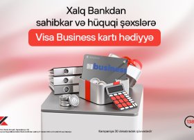 Sahibkar və hüquqi şəxslər üçün Visa Business kartı