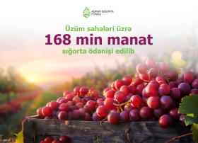 Aqrar Sığorta Fondu üzüm sahələri üzrə 168 min manat sığorta ödənişi edib