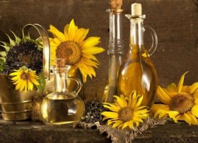 Rusiya Misirdə Günəbaxan Yağı İstehsalı Yaratmaqda Maraqlıdır