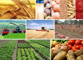 Qlobal kənd təsərrüfatı bazarında ixrac trendləri həm artım, həm də ticarət azadlığı istiqamətində dəyişir