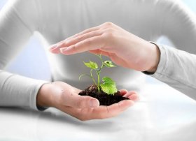 Qeyri-sabit hava şəraiti ilə əlaqədar olaraq Aqrar Sığorta Fonduna müraciətlər kəskin artıb 