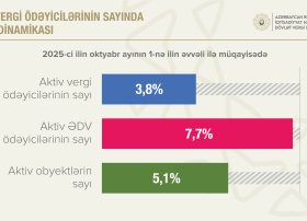 Aktiv ƏDV ödəyicilərinin sayı 7,7 faiz artıb