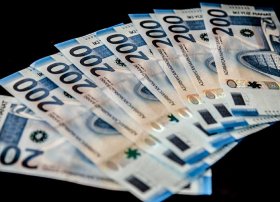 İKZF-nin zəmanəti ilə 9 ayda sahibkarlara 93 milyon manat kredit ayrılıb