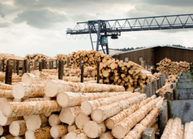 Rayonier və PotlatchDeltic birləşərək bazar dəyəri 7,1 milyard dollar olan şirkətə çevriləcək.