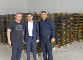 &ldquo;Azexport&rdquo; portalı nar, xurma və sitrus məhsulları Belarusa ixrac edib