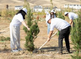 “AzInTelecom” Ağdamda ağacəkmə aksiyası keçirib