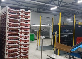 “Azexport” portalı yerli məhsulların Oman və Qətərə ixracını həyata keçirəcək