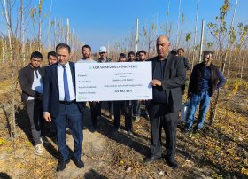 Azərbaycanda meyvə bağları üzrə ən böyük aqrar sığorta ödənişi edilib