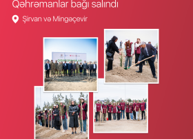 &ldquo;Qəhrəmanlar bağı&rdquo; layihəsi: Şəhidlərin xatirəsinə 543 ağac əkildi