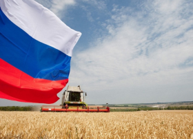 Rusiya Afrika Bazarı Üçün Kənd Təsərrüfatı İxracını Artırır