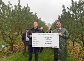 Azərbaycanda meyvə bağlarına rekord aqrar sığorta ödənişi edilib