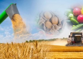 Azərbaycan kənd təsərrüfatının ümumi məhsulu 12,53 milyard manat olub