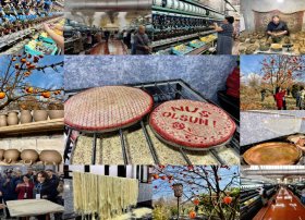 Şəkidə turizm infrastrukturu sürətlə inkişaf edir: Aqroturizm gəlirlərə töhfə verir