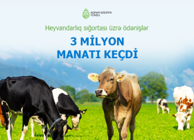 Azərbaycanda indiyədək heyvandarlıq sığortası üzrə 3,2 milyon manat ödəniş həyata keçirilib