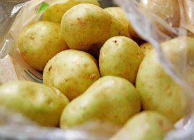 Uşaqlar və yaşlılar üçün ciddi risk: Yaşıl kartofdan uzaq durun