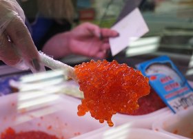 Qızılbalıq kürüsünün qanuni dövriyyəsi tam açıqlanıb