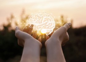 Dil öyrənmək beyin qocalmasını ləngidir