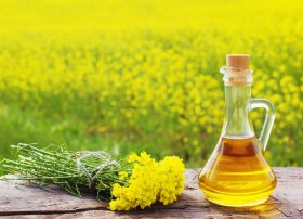 Çin Rusiya Raps Yağı İxracının 88%-ni Alıb