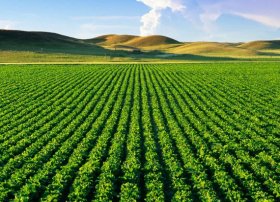 Ağdərə Həsənriz kəndində torpaqların əkin məqsədli istifadəyə verilməsi üçün müraciətlər davam edir