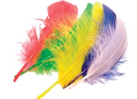 Rusiya Yaponiyaya quş tükü ixracını təxminən 3 dəfə artırıb