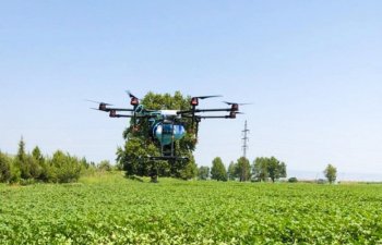 Azərbaycanda ilk dəfə dronla kimyəvi mübarizə tədbirləri aparılıb