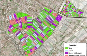 Azərbaycanın rayonlarında payızlıq əkin məlumatlarının peyk vasitəsilə yoxlanması davam edir