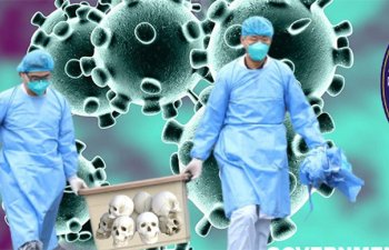 Qatil virus 213 nəfərin canını aldı
