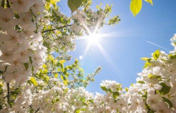 Baharın Azərbaycana gələcəyi vaxt və Novruz çərşənbələrinin TARİXLƏRİ AÇIQLANDI