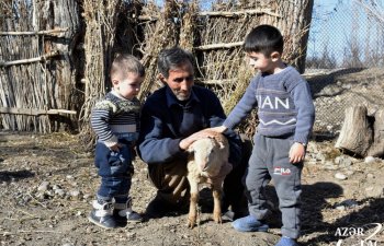 Ötən il Bərdə rayonunda 212 nəfər özünüməşğulluq proqramına cəlb edilib