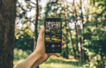 Azərbaycanda meşələrdəki vəziyyəti telefonla izləmək mümkün olacaq
