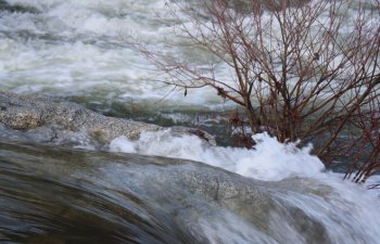 Sel təhlükəli çayların zərərli təsirinə qarşı tədbirlər həyata keçiriləcək