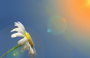 8 martda 20 dərəcə isti olacaq