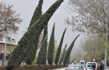 Sabaha olan hava proqnozu AÇIQLANDI