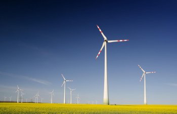 Alternativ enerji növlərindən istifadə ekoloji cəhətdən zərərsizdir