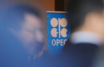 OPEC Texniki komitənin iclasını ləğv etdi