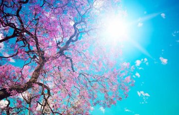 Sabah 20 dərəcə isti olacaq – HAVA PROQNOZU