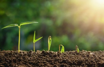 Bu gün sonuncu çərşənbədir