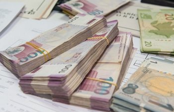 YAP-a dövlət büdcəsindən ayrılan vəsait açıqlandı