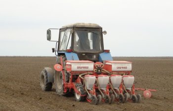 Bu il Azərbaycanda 5 min hektardan çox sahədə şəkər çuğunduru əkilməsi planlaşdırılır