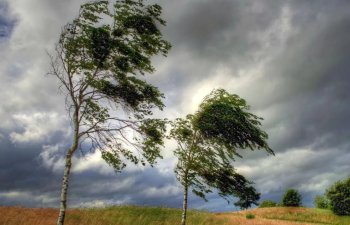 Sabahdan hava dəyişir, güclü külək əsəcək - XƏBƏRDARLIQ
